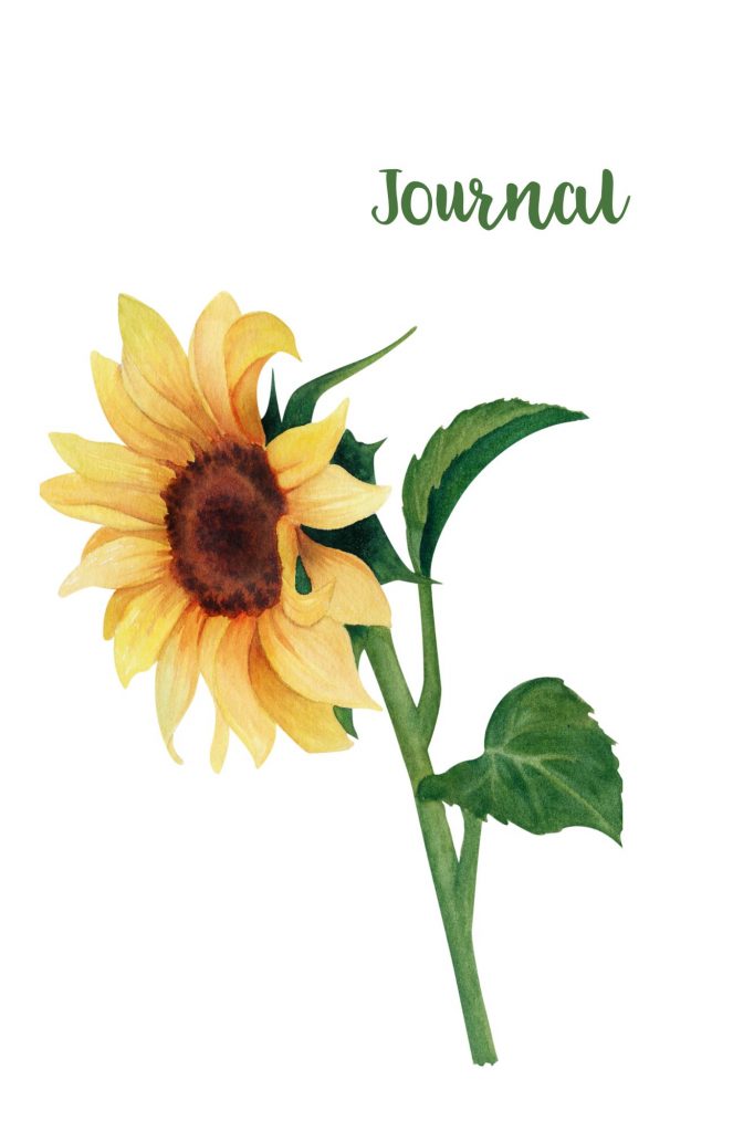 Sunflower on white page with word Journal written in green
