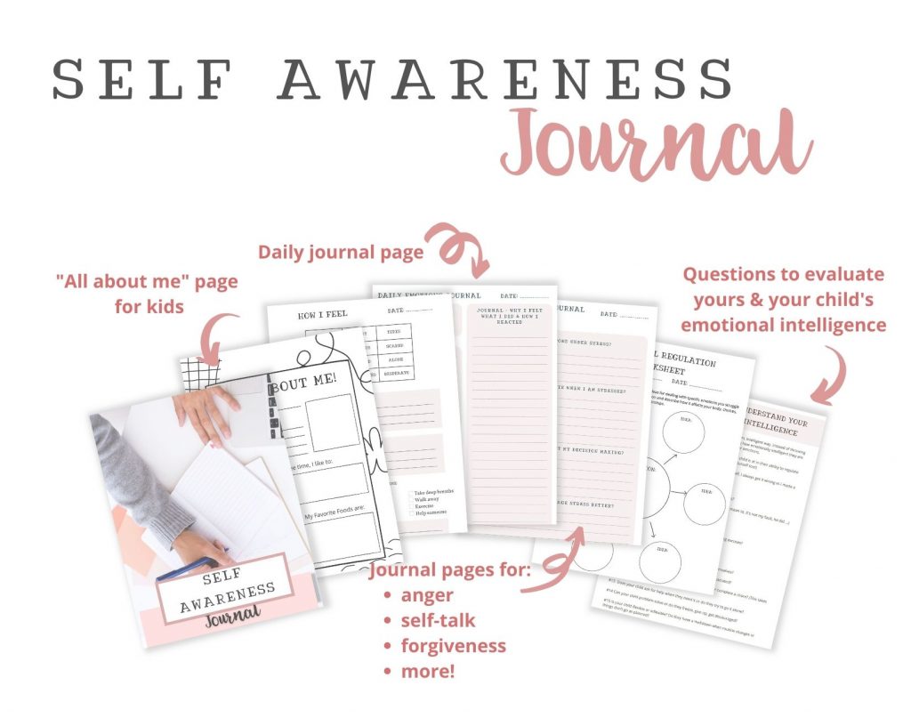 Mockup of self -awareness journal